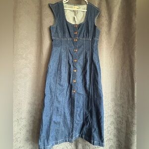 Madewell Blue Denim Dress with Brown Buttons